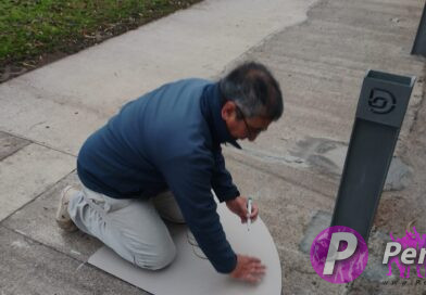 Comenzó la demarcación de la región Dolores del Sistema Solar de Uruguay