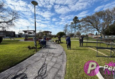 Realizan mejoras y embellecimiento en Plaza Artigas
