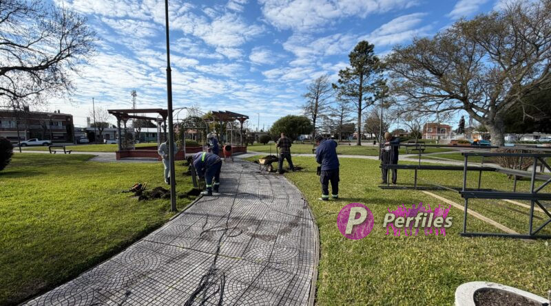 Realizan mejoras y embellecimiento en Plaza Artigas