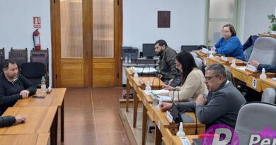 Comisión de Legislación y Peticiones