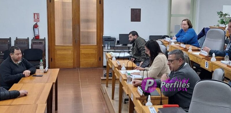 Comisión de Legislación y Peticiones