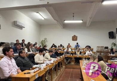 Sesión Ordinaria del Plenario de la Junta Departamental de Soriano