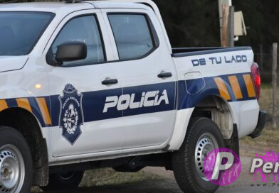 Egaña: Hurto en predio rural